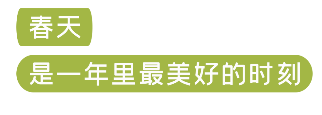 春来踏青，我们相随【内有福利活动】